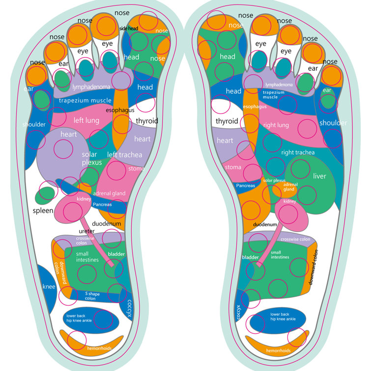 Carepeutic Acupressure Points Stretch Board and Footrest Wayfair